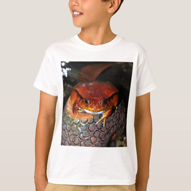 Tomatefrosch T-Shirt (Vorderseite)