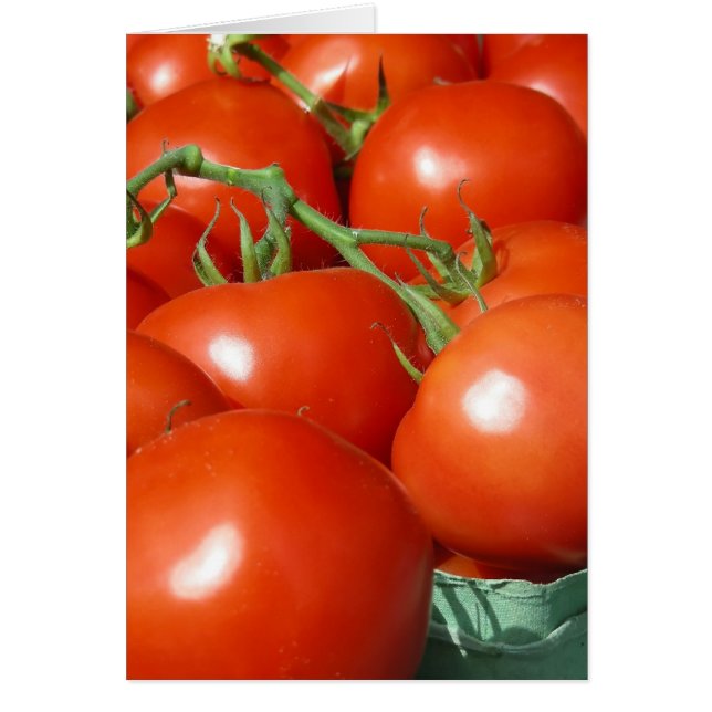 Tomaten (Vorne)