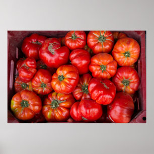 Tomaten auf dem Markt Poster