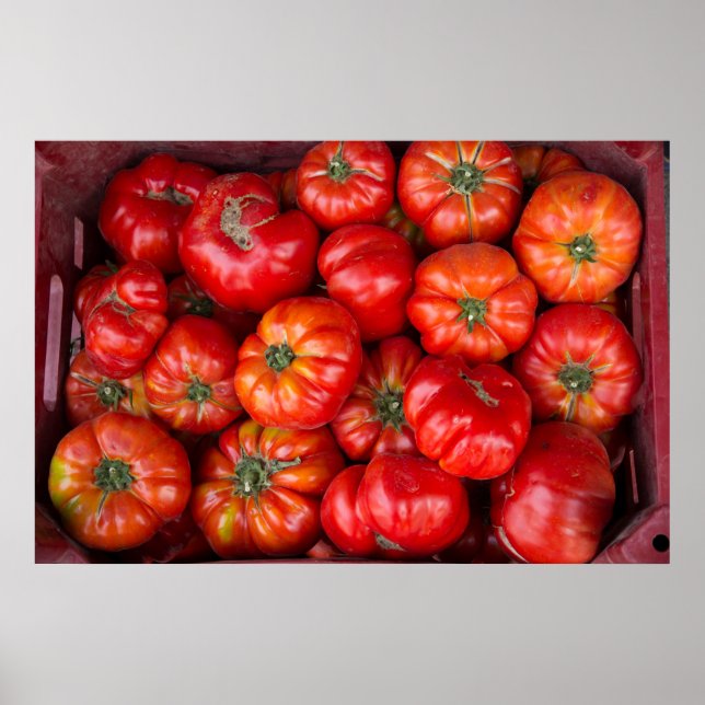 Tomaten auf dem Markt Poster (Vorne)