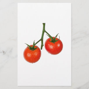 Tomaten auf Reben