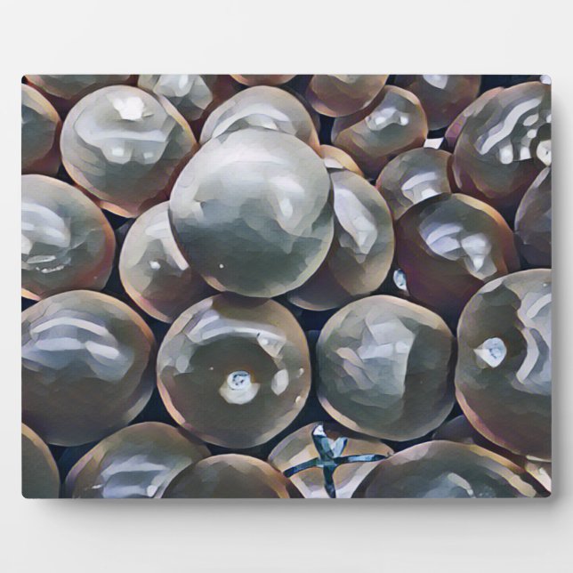 TOMATEN FOTOPLATTE (Vorderseite)