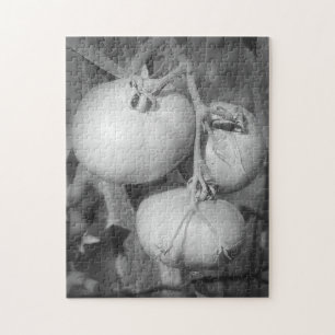 Tomaten in Schwarz-Weiß-Natur Puzzle