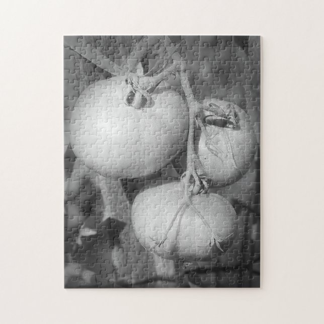 Tomaten in Schwarz-Weiß-Natur Puzzle (Vertikal)