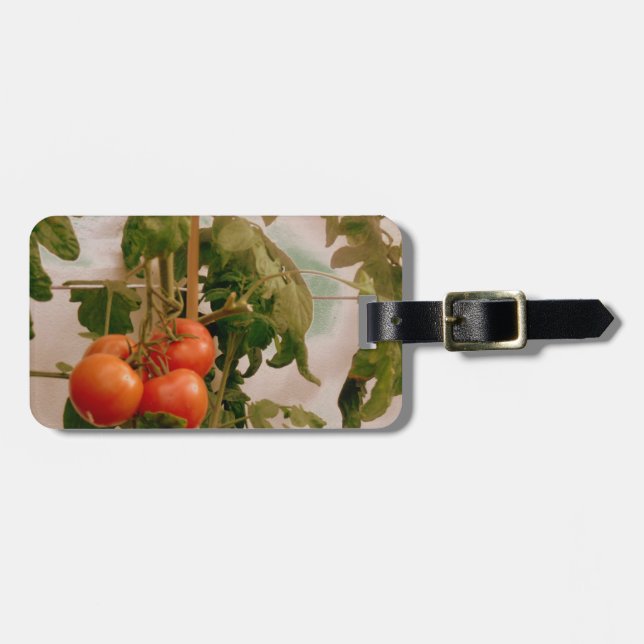 Tomaten/Paradeiser im Weinbau Gepäckanhänger (Vorderseite horizontal)