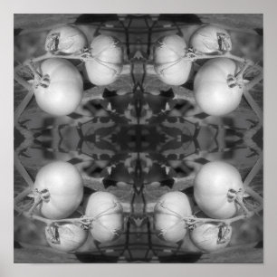 Tomaten/Paradeiser in Schwarz/Weiß Abstrakt Poster