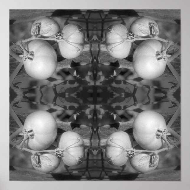 Tomaten/Paradeiser in Schwarz/Weiß Abstrakt Poster (Vorne)