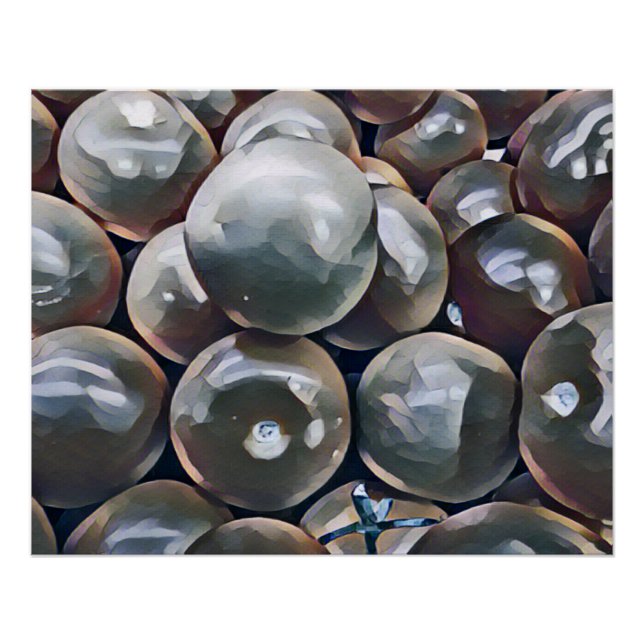 TOMATEN POSTER (Vorderseite)