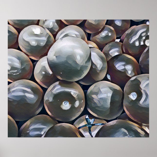 TOMATEN POSTER (Vorne)