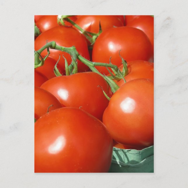 Tomaten Postkarte (Vorderseite)