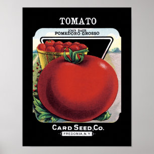 Tomaten-Samenpackungsetikett Poster