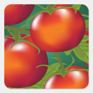 Tomatenaufkleber Quadratischer Aufkleber