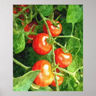 Tomatenbein Poster