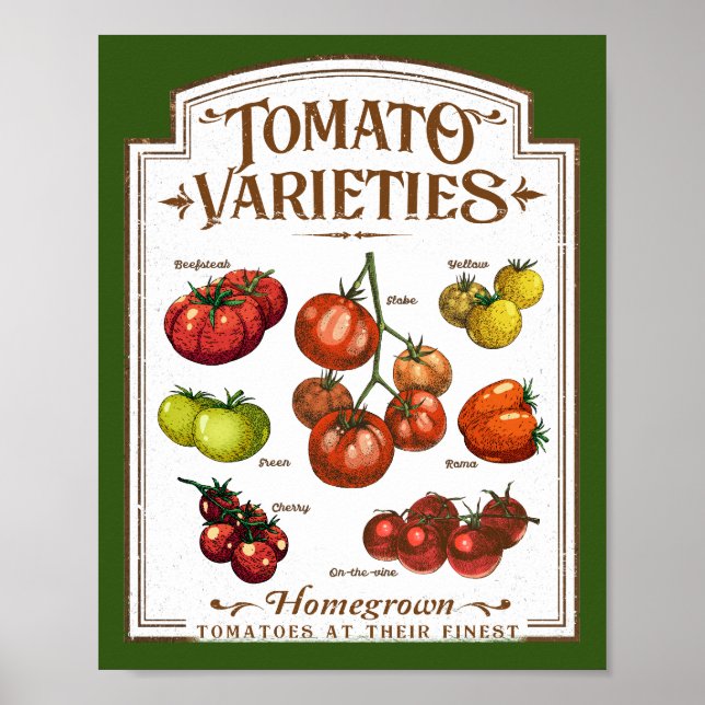 Tomatengärtner, Gemüsekartoffelgarten Poster (Vorne)