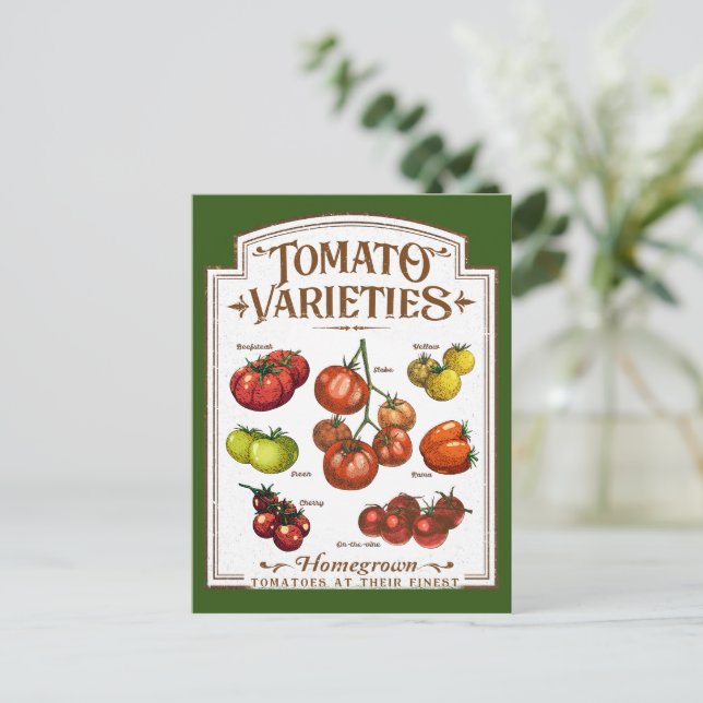 Tomatengärtner, Gemüsekartoffelgarten Postkarte (Stehend Vorderseite)