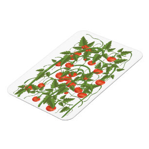 Tomatenmuster Magnet