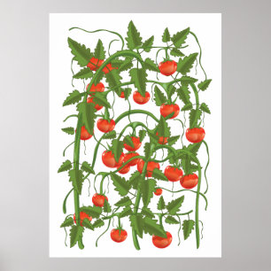 Tomatenmuster Poster