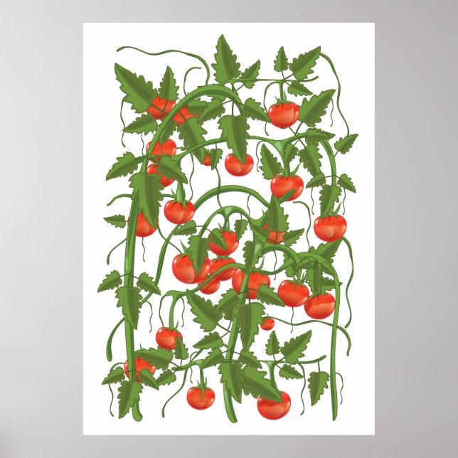 Tomatenmuster Poster (Vorne)
