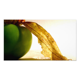 Tomatillo Fotodruck
