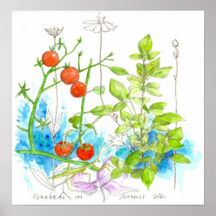 Tomato Basilikum Kräuter Wasserfarbener Garten Blu Poster