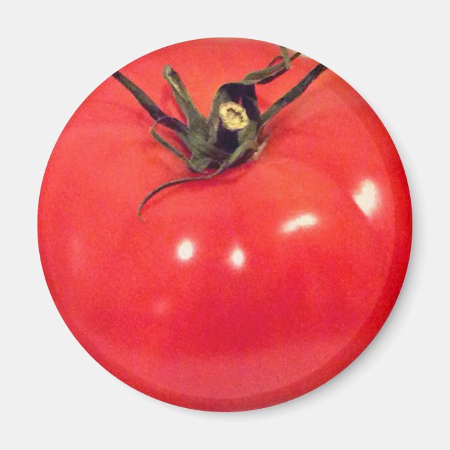 Tomato Beefsteak 4Marco Magnet (Vorne)