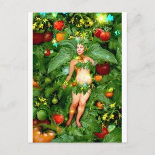 Tomato Fairy Postkarte