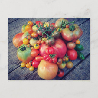 Tomato Harvest Postkarte