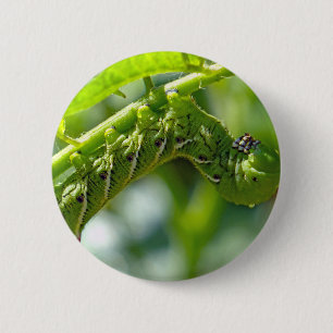 Tomato Hornworm Button