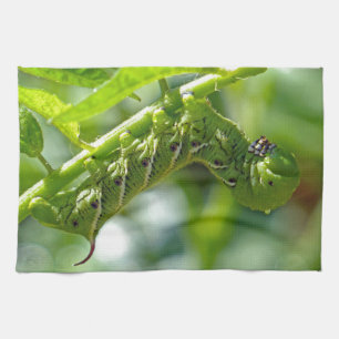 Tomato Hornworm Geschirrtuch