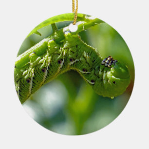 Tomato Hornworm Keramik Ornament