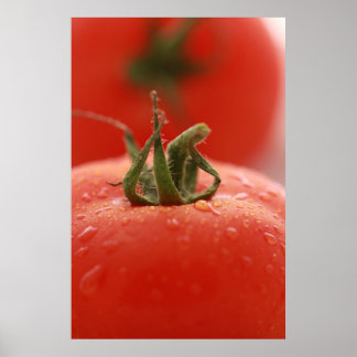 Tomato Print Poster