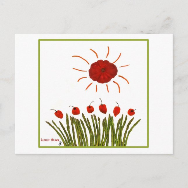 Tomato Sun Postkarte (Vorderseite)