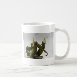 Tomato Tasse
