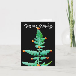 TOMATO TREE FOTO FROHE FESTTAGE CARD