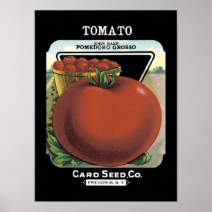 Tomato Vintag Seed Packet Poster