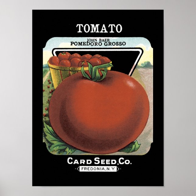 Tomato Vintag Seed Packet Poster (Vorne)