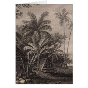 Tomben, Muthuata, Fidschi