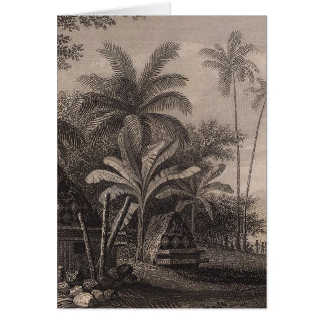 Tomben, Muthuata, Fidschi (Vorne)