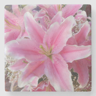 Tommasina Steinuntersetzer