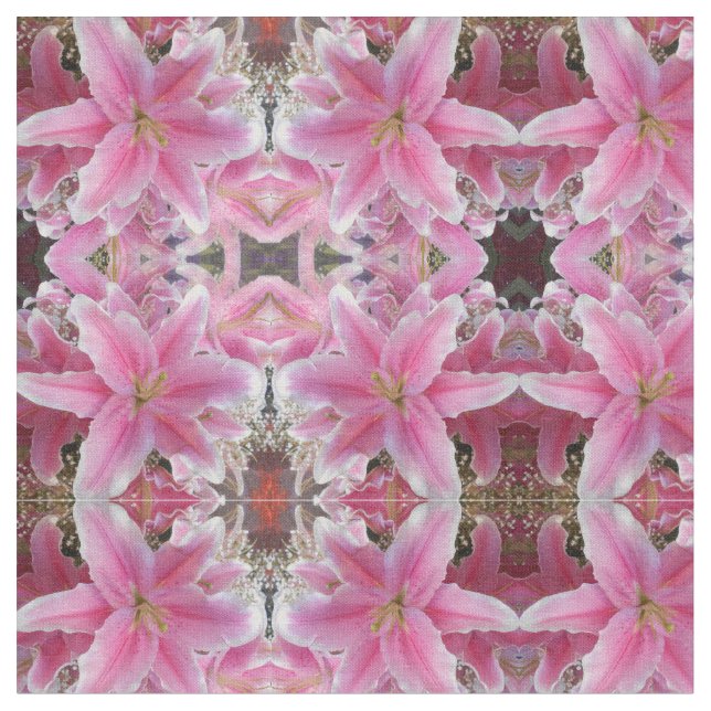 Tommasina Stoff (Nahaufnahme)