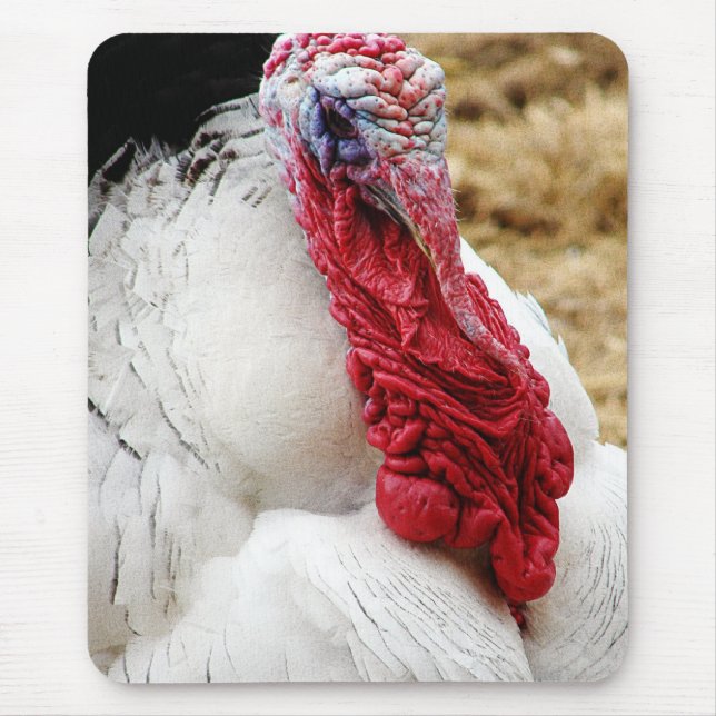 Tommy Mousepad (Vorne)