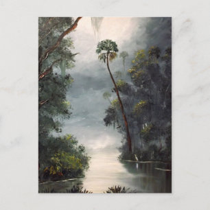 Tomoka Fluss Florida Postkarte