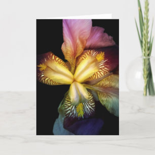 Toms Ire Card Karte