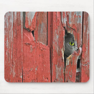 Toms Kat-Peeping Mousepad