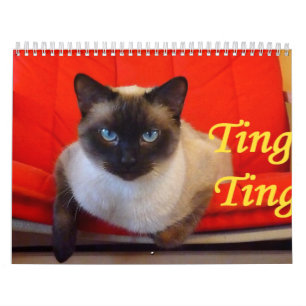 Tönen Sie tönen die siamesische Katze Kalender