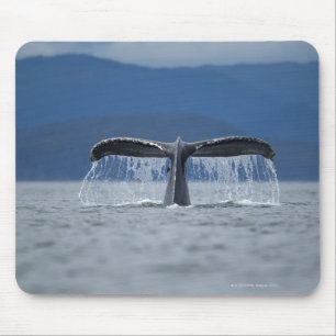Tongass staatlicher Wald, Buckel Mousepad