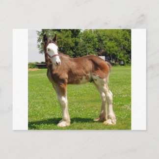 Tongestelle Postkarte