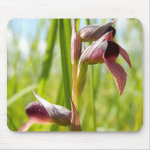 Tongue Orchid Mouse Mat Mousepad