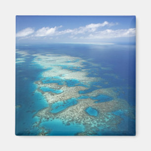 Tongue Reef, Great Barrier Reef Marine Park, Magnet