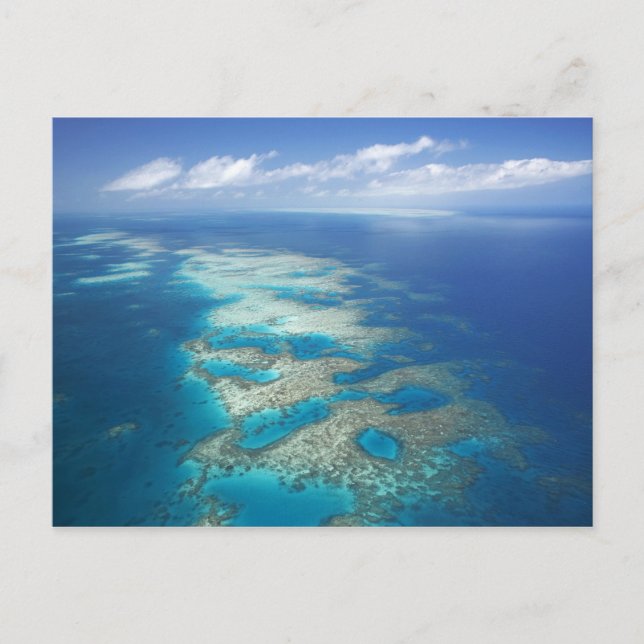 Tongue Reef, Great Barrier Reef Marine Park, Postkarte (Vorderseite)